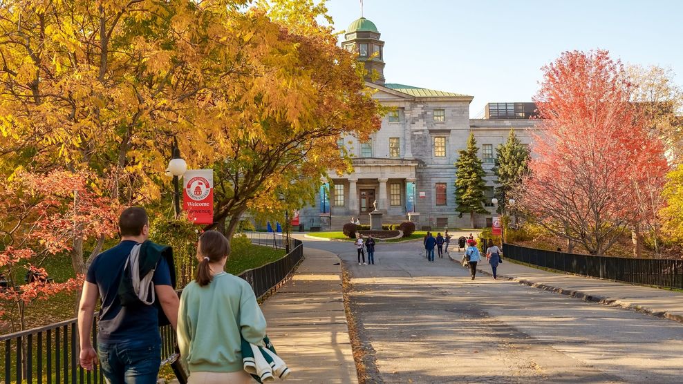 universities