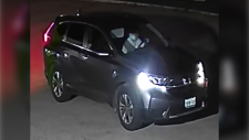 Suspect vehicle