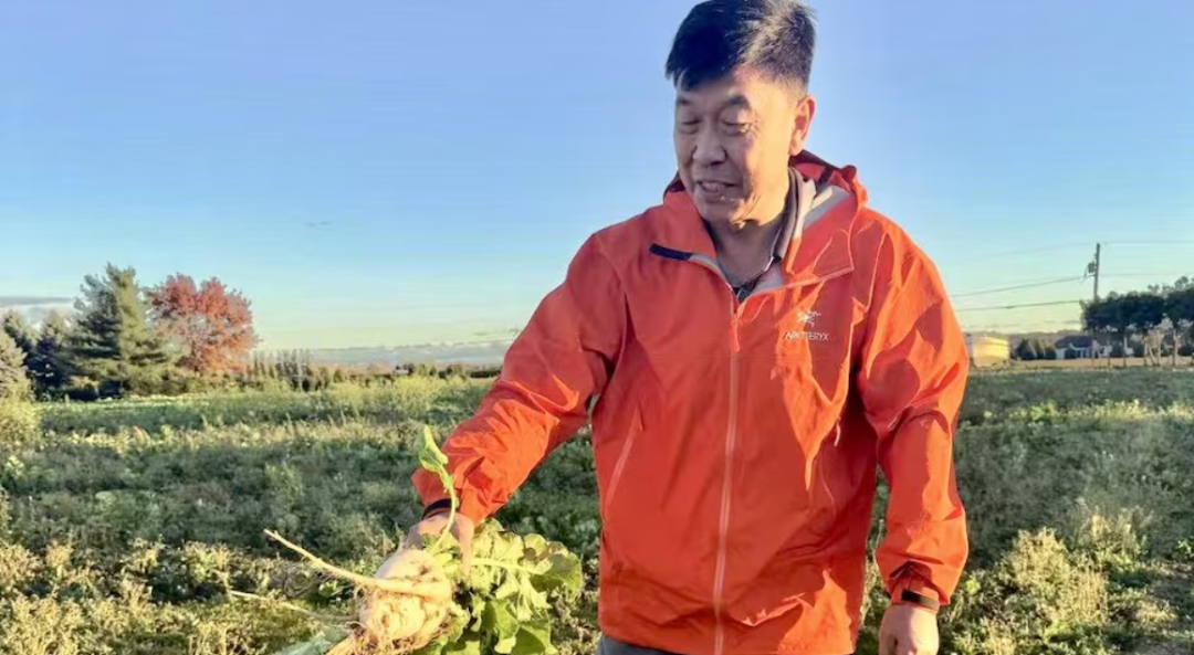 加拿大华裔农场主大付：特朗普关税走不远！