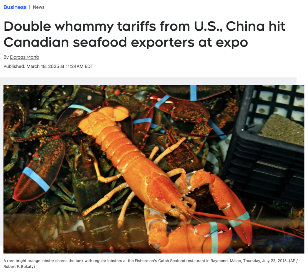 加拿大的龙虾都卖不出去了！关税战让加拿大海鲜出口商“雪上加霜”！ ...