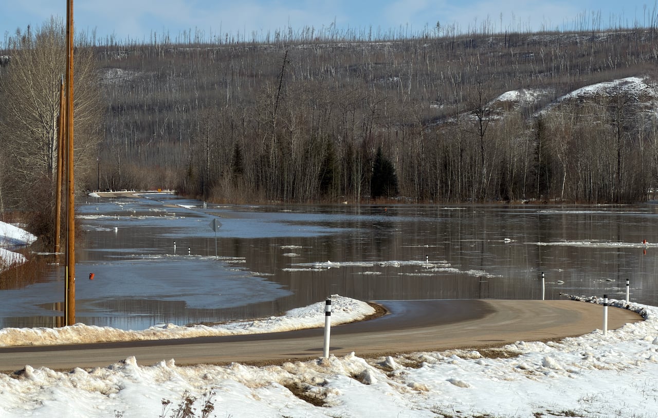 A road is partially submerged. A forest is seen in the background. Snow is on the ground.