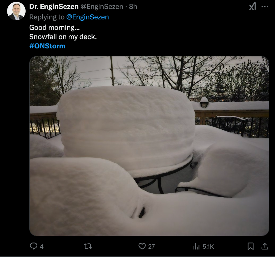 多伦多遭遇三年来最大暴雪 交通瘫痪学校停课！市府开出近700张罚单！ ...