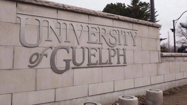 亲巴勒斯坦抗议者表示，他们将在下周一之前拆除 UGuelph 营地 ...