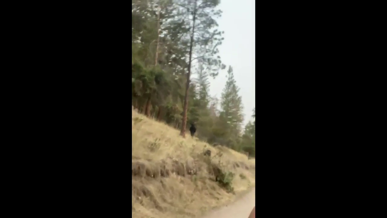 据报道，陌生人在著名的诺克斯山步道上跟踪徒步旅行者