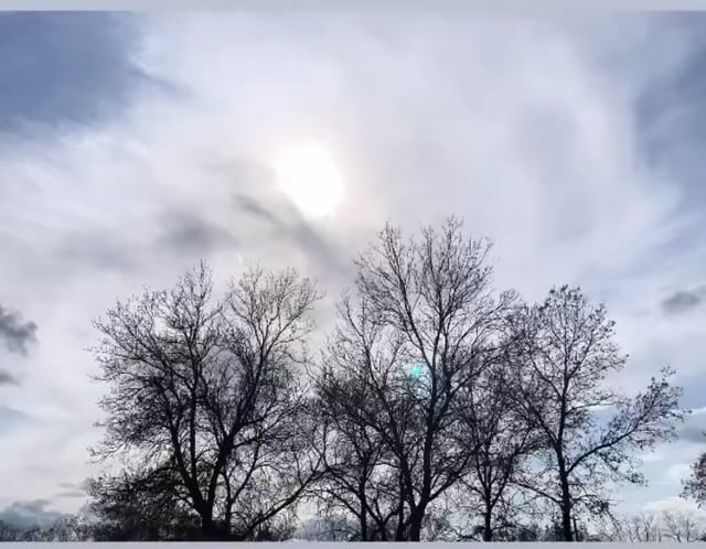 搬到加拿大是一个不愉快的冲击。然后我经历了人生中的第一场雪 ...