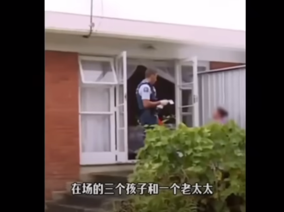 中国大妈出国帮女儿带娃，反被女儿报警抓走：「养你40年，不如养条狗！」 ...