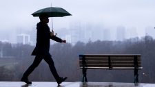 春季风暴袭击多伦多，降雨量可能高达 50 毫米