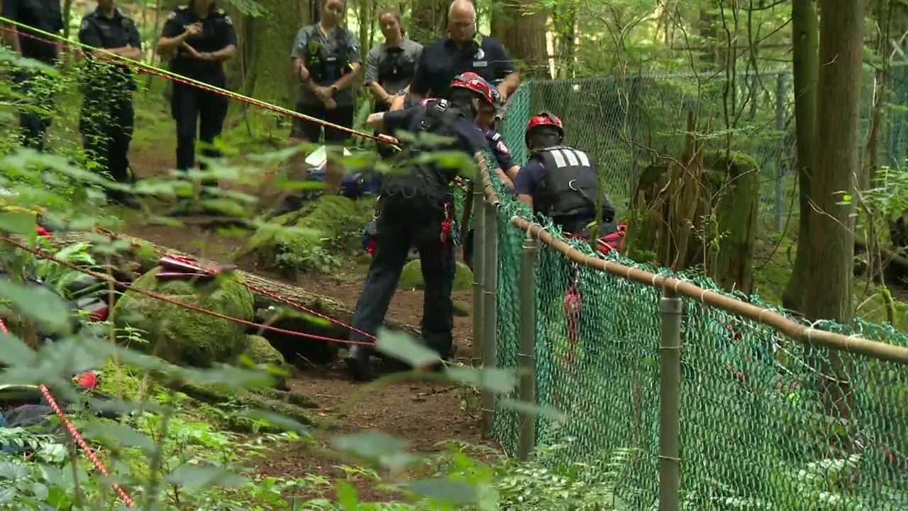 17岁少年在北温哥华林恩峡谷公园坠落身亡