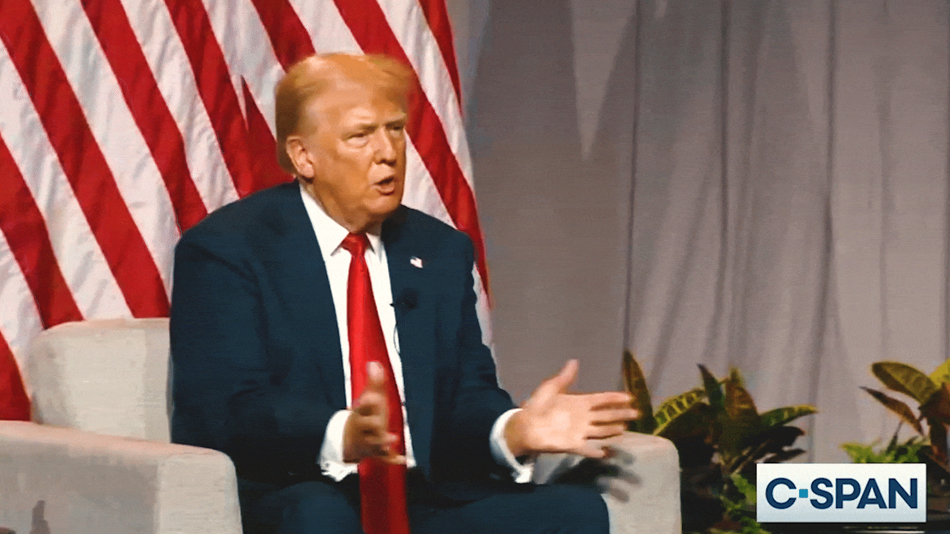 Video of former President Donald Trump during a news interview.