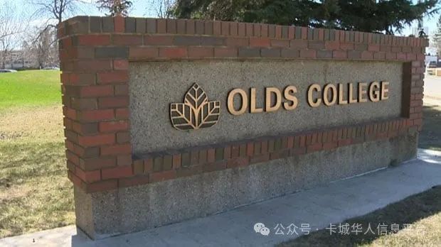 国际学生减少  Olds学院暂停三个专业