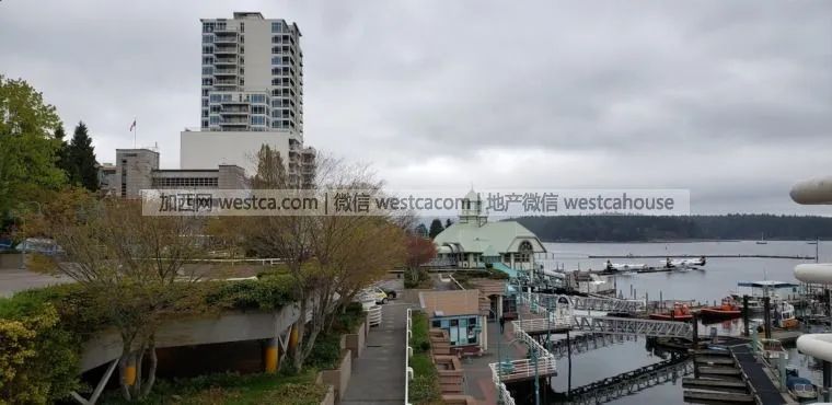 他邀美国人来访BC这城市 没想到响应的人竟这么多