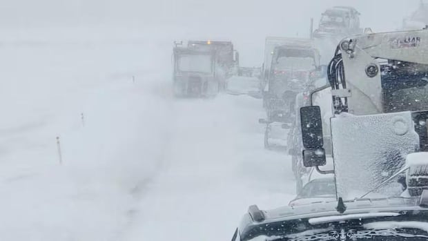 被困在高速公路上：大雪和强风袭击艾伯塔省，驾车者被困