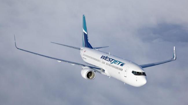 西捷航空开卖“头顶行李舱”！网友怒骂