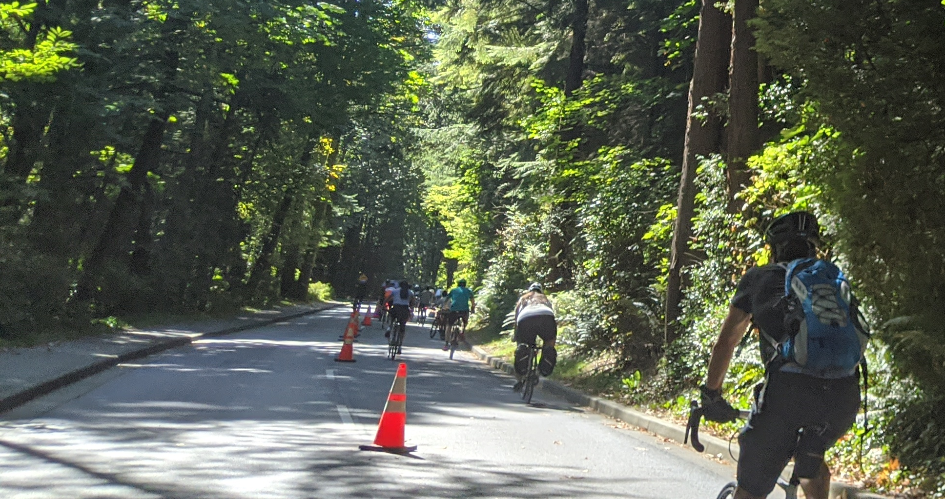 斯坦利公园没有更多车辆了吗？道路通行的未来备受争议