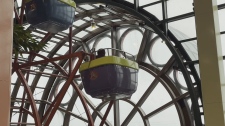 Woodbine, Centre, Ferris, Wheel, 