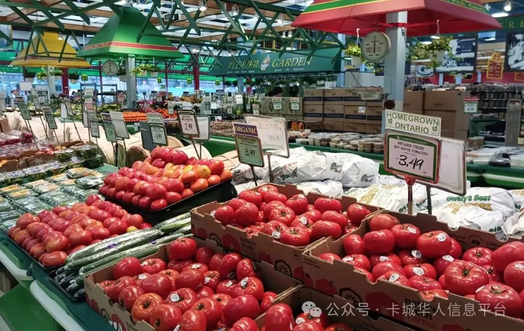 2025年加拿大各省食品杂货价格比拼：这省竟然最便宜！