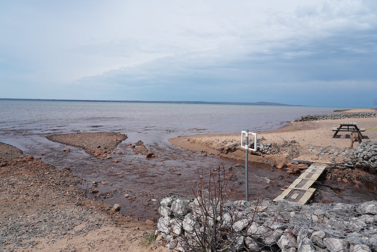 A rocky beach.