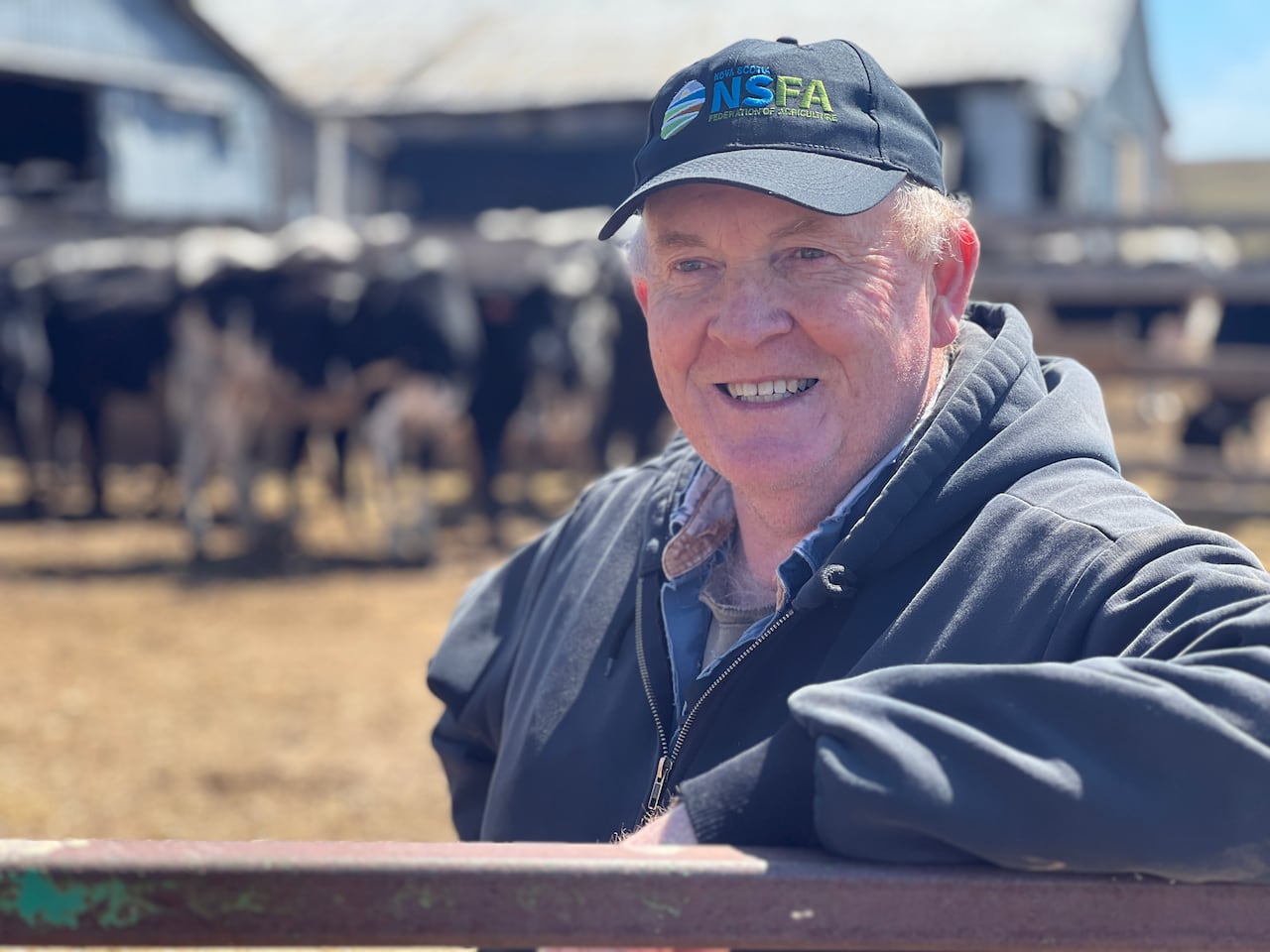 Man in a zip hoodie and ball cap stands near cattle