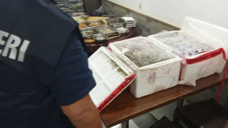 华人频繁回国被宪兵一路跟踪 行李箱藏玄机(组图)