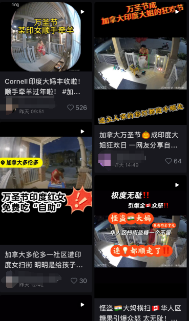 印度大妈“扫荡”华人区 网友骂翻 还有进屋“抢”的