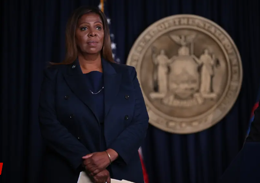 纽约2位最具权势女大佬,紧急制定计划联手“反川” (图)