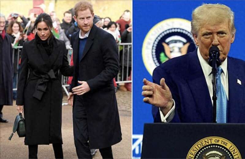 美国对哈里的签证记录做出令人震惊的决定(图)