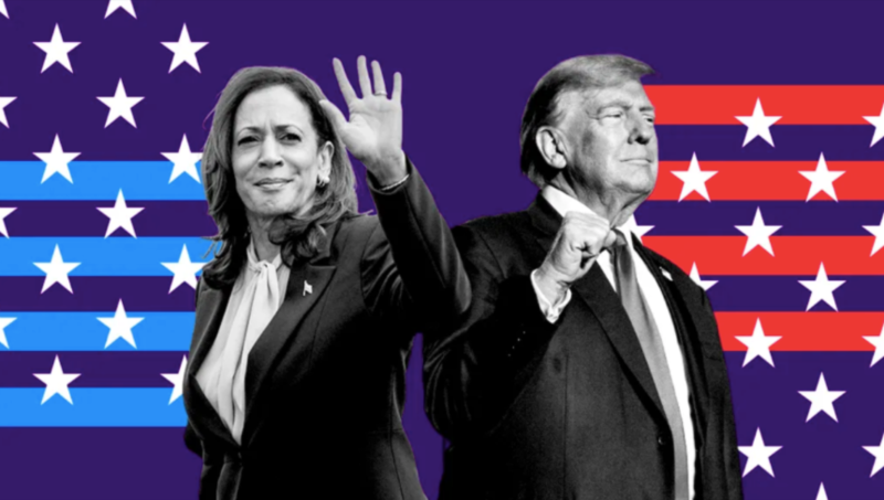 特朗普?哈里斯?最后12小时 美国大选观战指南来了(图)