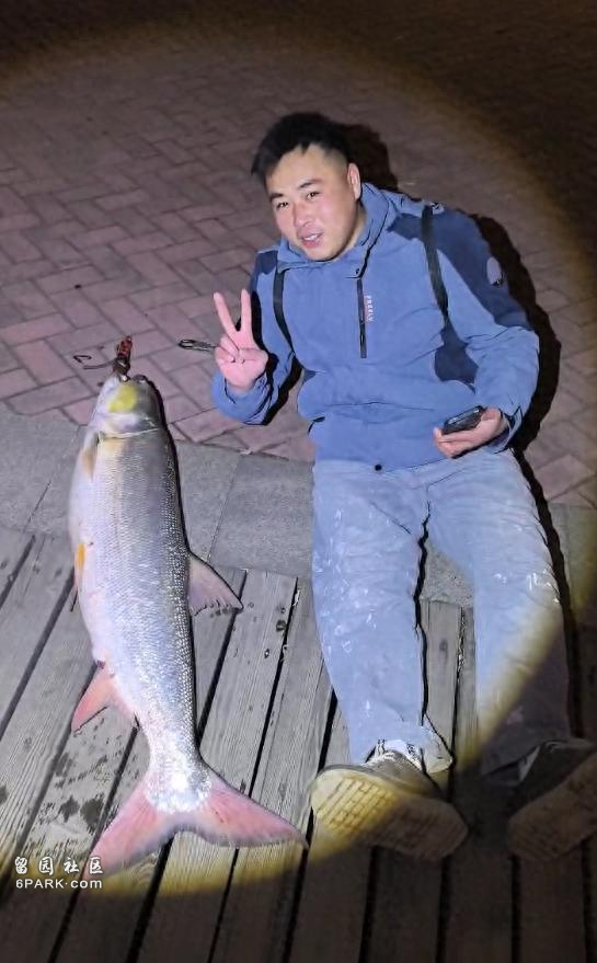 男子钓到56斤鳡鱼晚上骑车绕城5小时炫耀(组图)