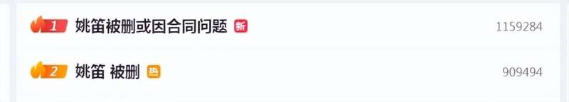 姚笛12年后复出再被阻:已育、离异?43岁路在何方(图)