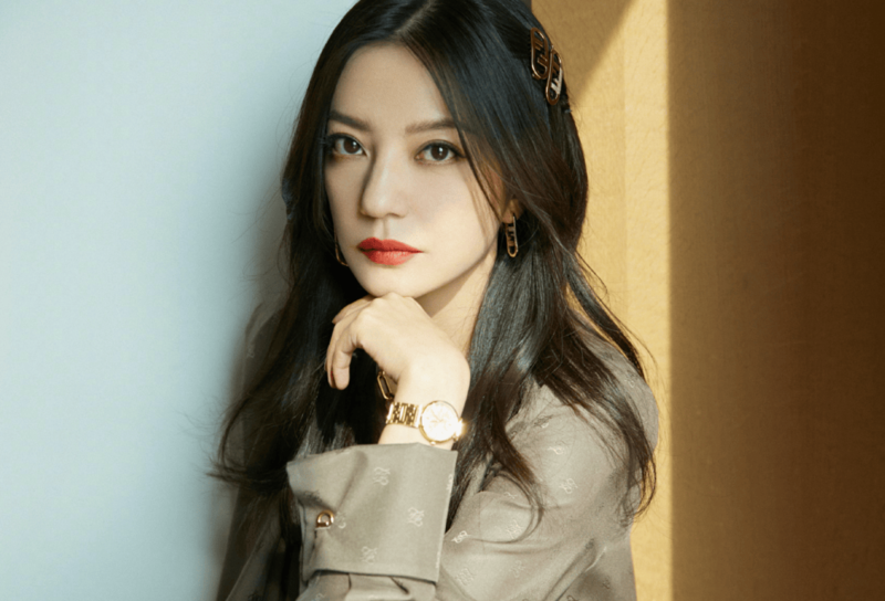 赵薇离婚原因:给前夫和姐姐担保 想离婚被男方拖2年(图)