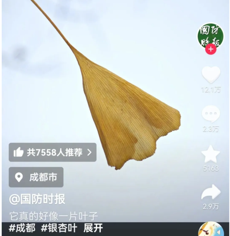 银杏叶扇起的风暴 中国六代机被美国网友吐槽了(组图)