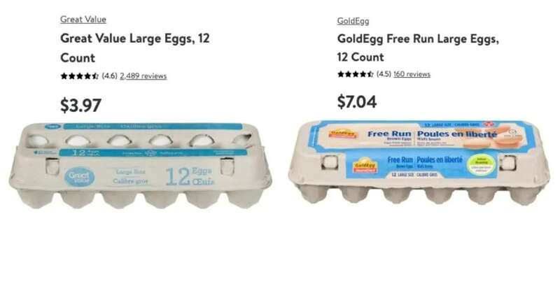 全世界15个国家鸡蛋价格曝光 看完加拿大哭了(组图)