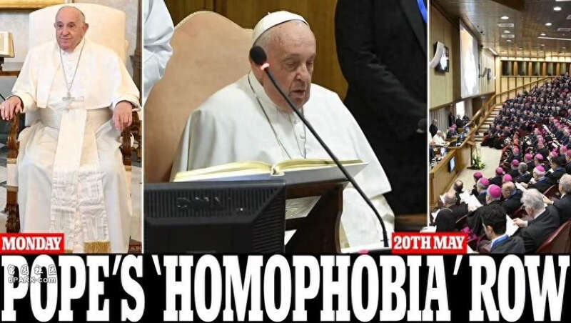 87岁教皇开会时说出冒犯性词语 台下笑声一片(图)