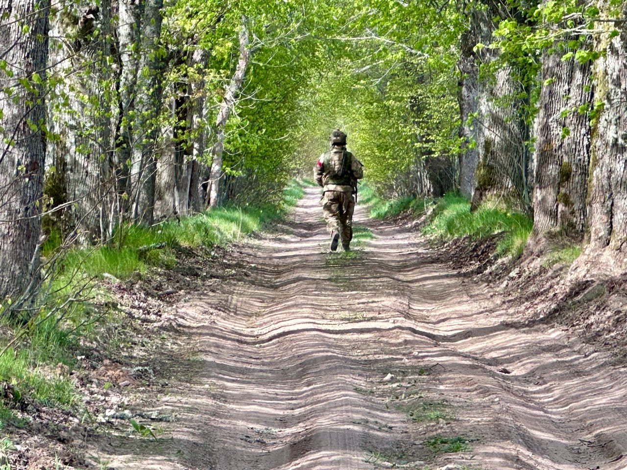 A soldier in a forest.