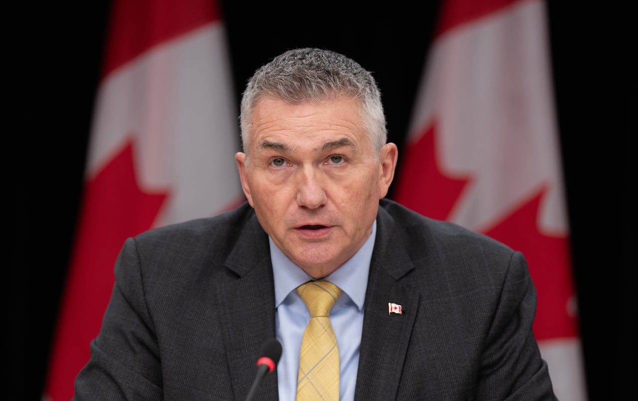 Conservative defence critic James Bezan questions if Louise Arbour gives bill C-11 royal assent it would be a confict of interest. Defence minister David McGuinty said there is not a conflict of interest.