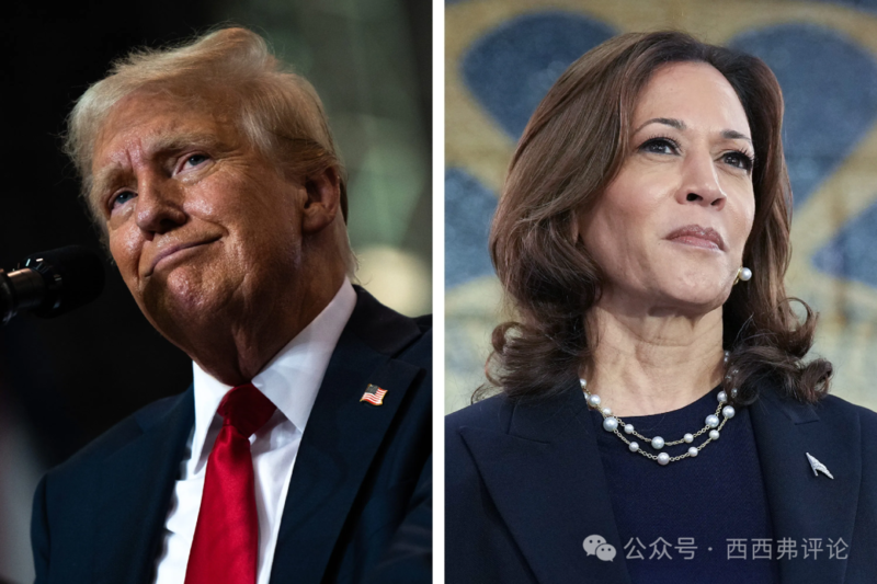 媒体:吃瓜看戏!特朗普or哈里斯,我希望谁当选?(组图)