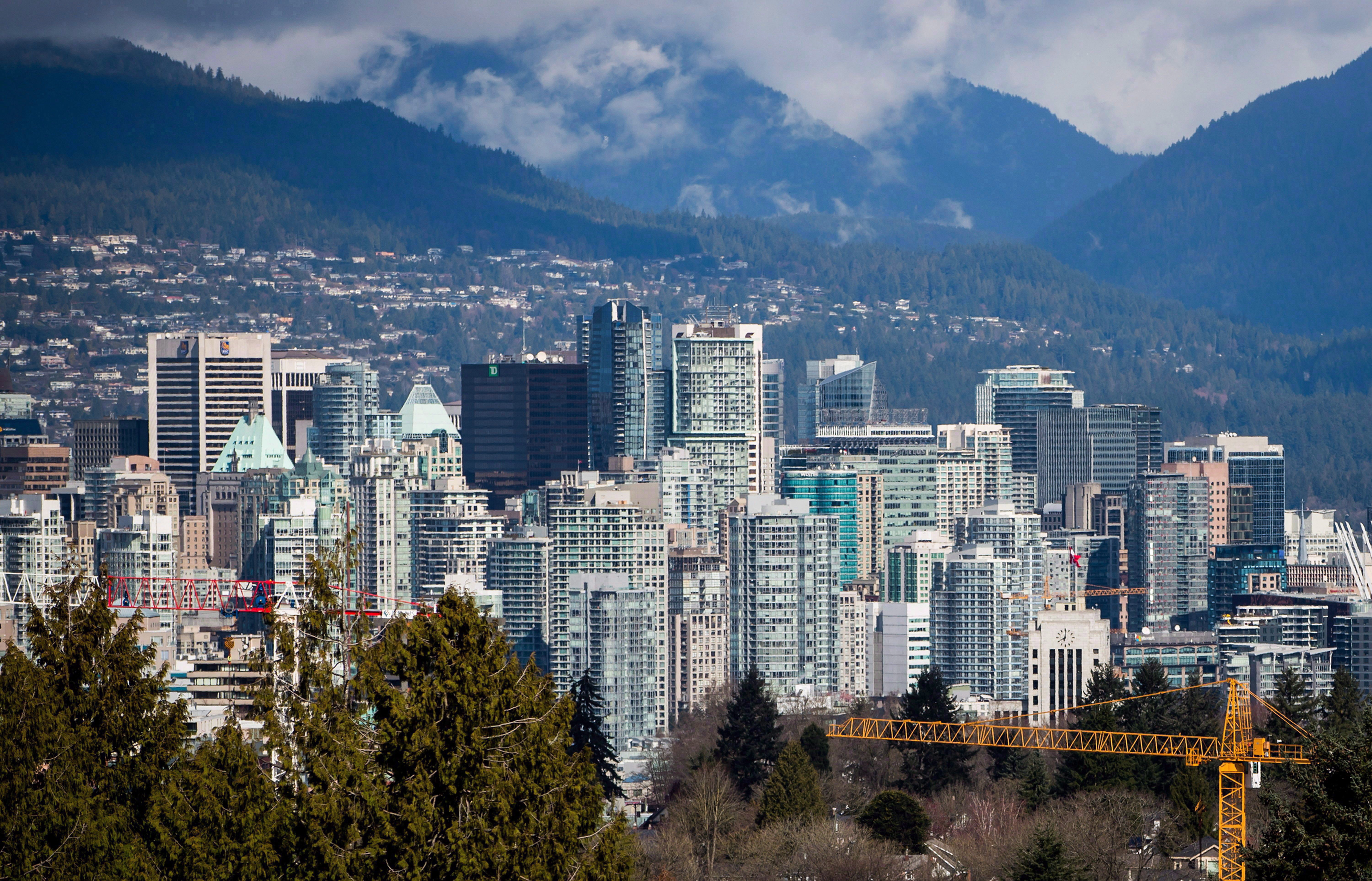 夫妻店房东超过大型房地产投资者：StatCan 数据