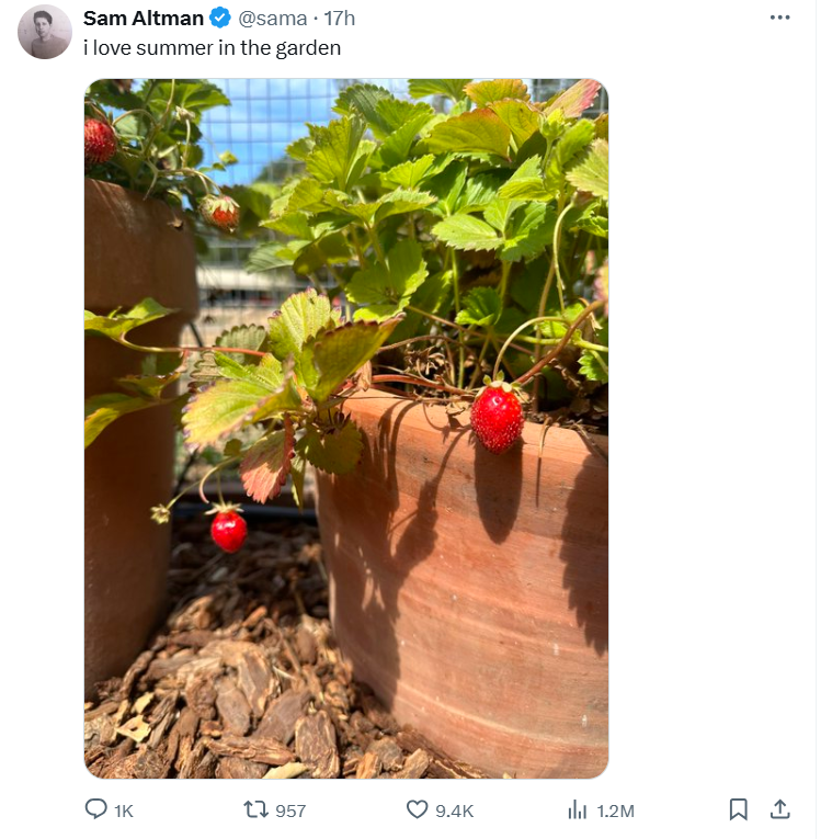 OpenAI奥尔特曼在X上发布草莓照片，网友热议！隐喻“草莓”项目？内部人士曾警告：或 ...
