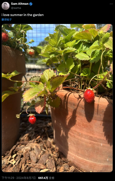 OpenAI“草莓项目”最快今年秋季发布 为何AI圈子紧盯这件事？ ...