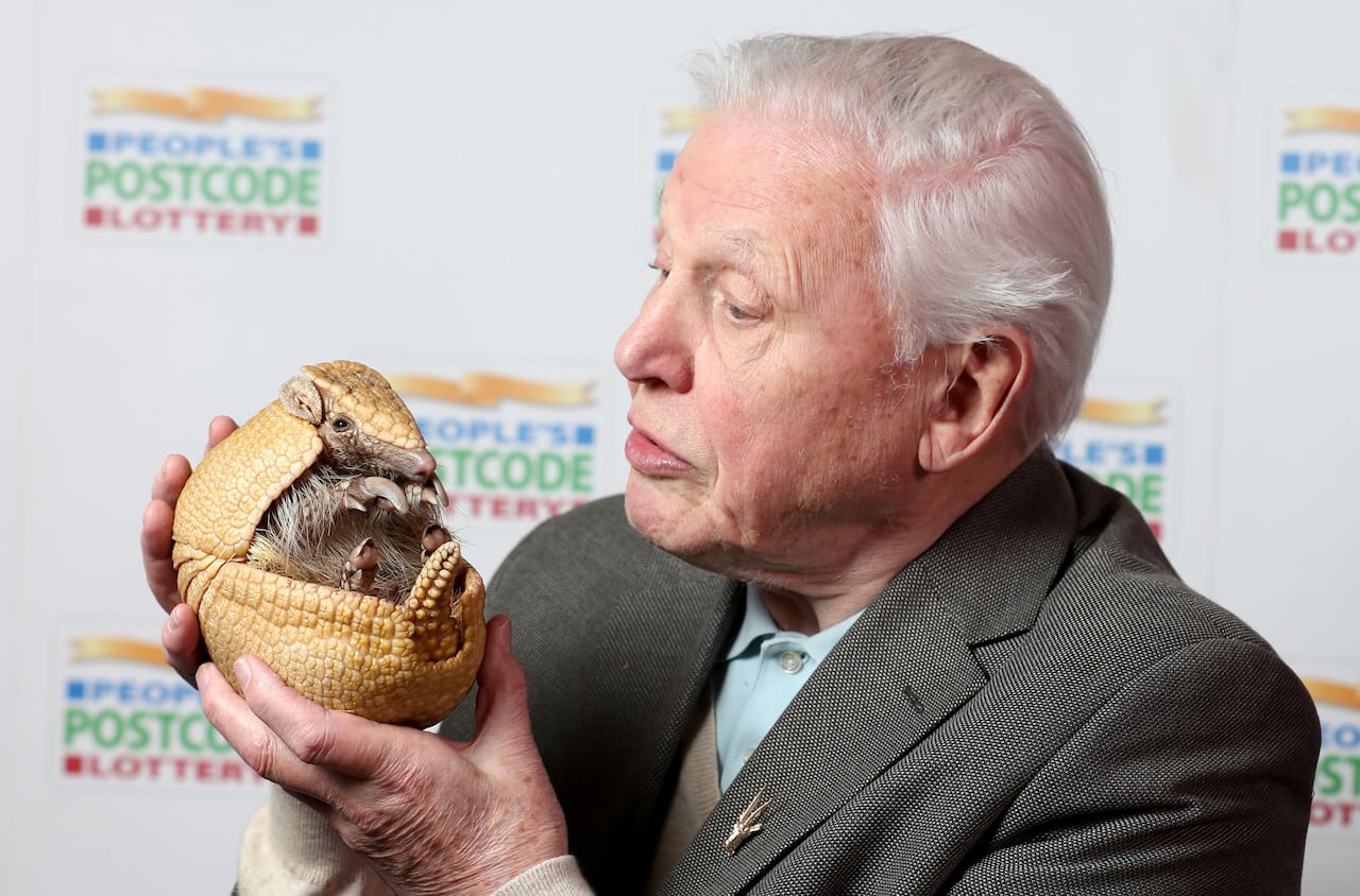 David Attenborough holds 'Inti', an armadillo from Edinburgh Zoo