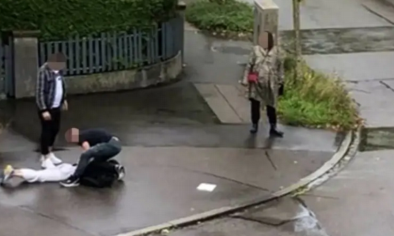 中国男子瑞士袭击幼儿:亲痛仇快!华人圈的危机时刻(图)