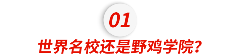 “原来王菲女儿出国 读的是野鸡大学”?(组图)