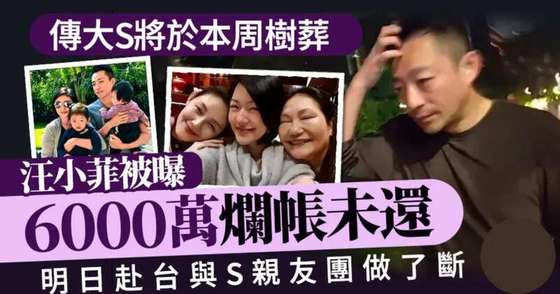 S家遗产大战发酵 大S有上亿遗产却无人还房贷(组图)