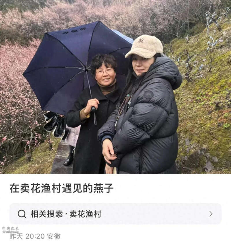 网友在黄山偶遇赵薇 称回芜湖老家看望母亲(组图)