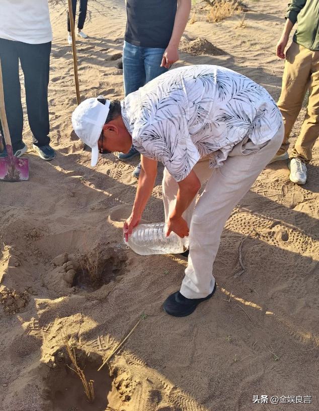 马云两鬓斑白下地种树浇水 坐小马扎吃西瓜（配图1）