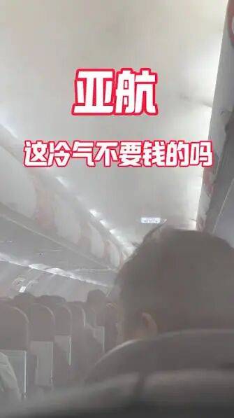 中年人的出境穷游搭子，扛不住了