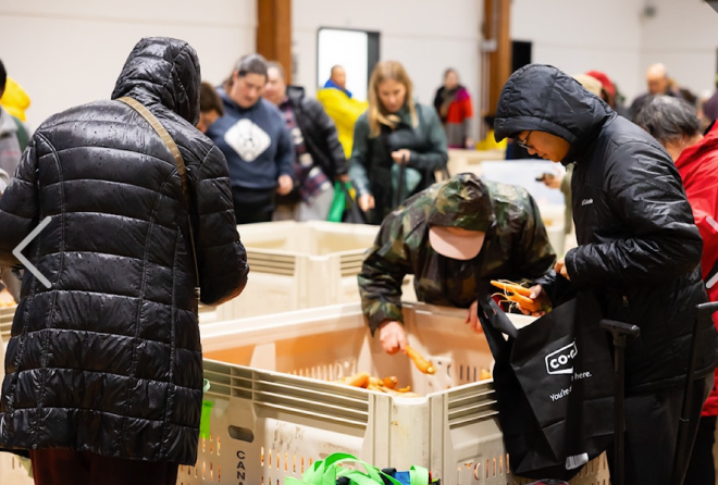 不敢相信!加拿大上万人在暴雨中疯抢免费蔬果!(组图)