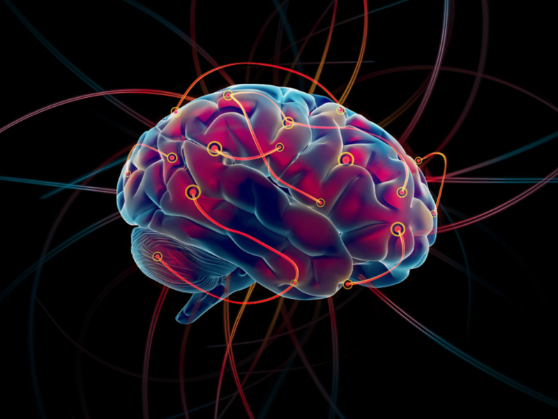 冬天是道坎!这5种怕冷的反应,可能是脑血管病前兆(图)