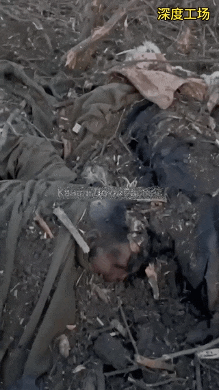 媒体:116名俄军被美制导弹一锅端了,俄防长不吭声(图)