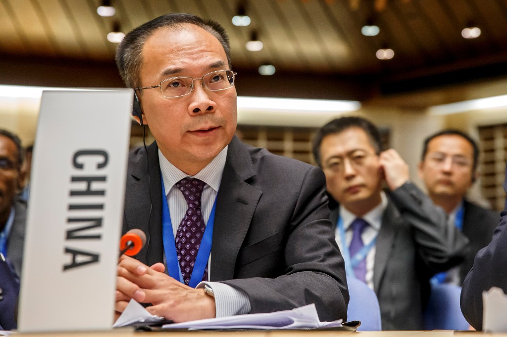 中国提名宋丽竞选世卫组织新任总干事 5月选举将揭晓人选（配图1）